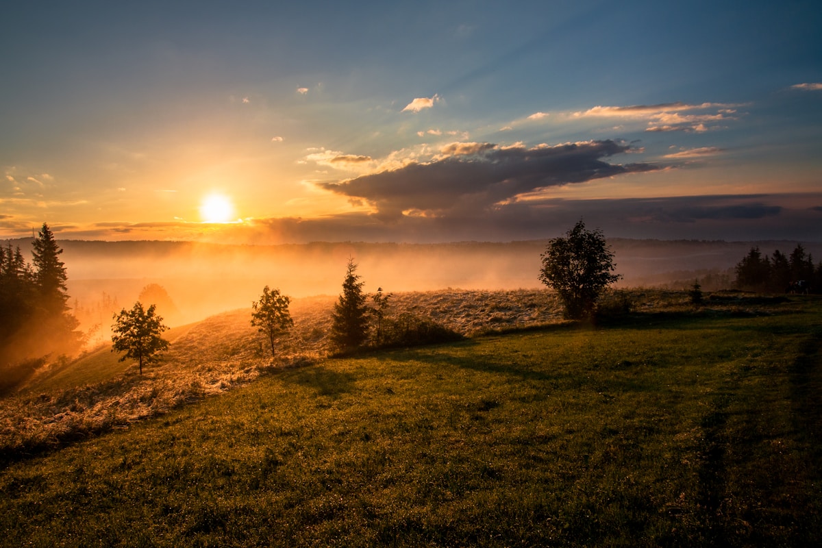 Recurring Dreams: Why the Same Dream Keeps Coming Back